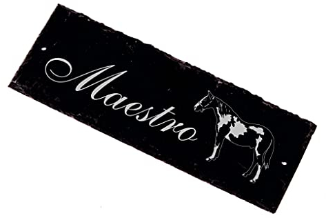 Pferd Schecke Pinto Namensschild Schild Schiefer Stalltafel mit Wunschname Türschild 22 x 8 cm