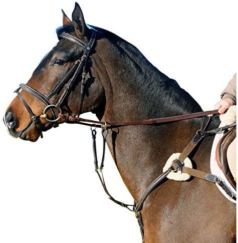 John Whitaker Ready to Ride V Check Breast Plate Full Size Havana