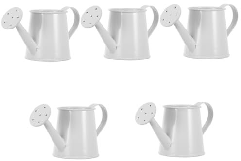 SUPVOX 5 Piezas Maceta regadera en Miniatura niños regadera Manguera de jardín Plantas de Interior Plantas suculentas regadera de casa de muñecas Mini Adornos de regadera Planchar