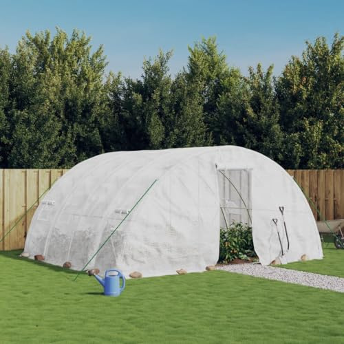 Mokuyary Serre avec Cadre en Acier Blanc 20 m² 5x4x2,3 m Serre de Extérieur pour Plantes Légumes