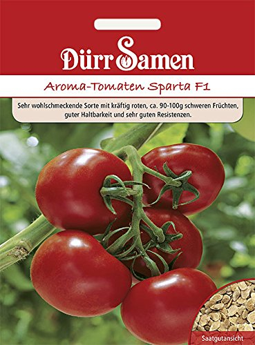 Dürr-Samen - Tomaten Sparta F1 Saatgut