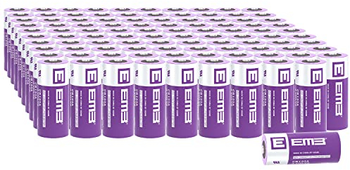 EEMB CR123A Batteria al litio 3V CR17345 non ricaricabile Batteria CR123 Alte prestazioni con protezione PTC per fotocamere Torcia giocattolo Allarme Sensori intelligenti e altro(100)