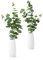PASCH® 2er Set Eukalyptus künstlich in weißen Keramikvasen (45cm): Realistische künstliche Zweige Deko | Dekozweige | Kunstblumen im Topf | Künstliche Blumen im Topf: Eukalyptus Deko | Eucalyptus