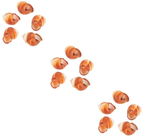Kisangel 15 Pièces Coquille D'escargot Français Accessoires De Cuisson des Escargots Assiettes De Coquillages Vide Plat Descargots Coquille D'escargot Naturelle Crabe Ermite Gros Escargot