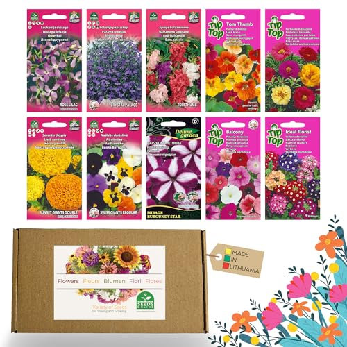 Nojus - Set di semi di fiori – Semi di fiori 10 varietà – Semi di fiori da balcone – Semi di piante colorate – 10 confezioni – Semi di fiori selvatici – Sacchetto di semi di fiori