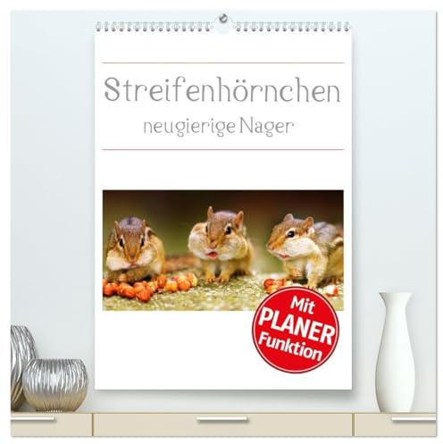 Streifenhörnchen - neugierige Nager (hochwertiger Premium Wandkalender 2026 DIN A2 hoch), Kunstdruck in Hochglanz: Die Jäger und Sammler unter den Nagetieren (CALVENDO Tiere)