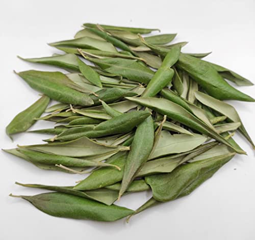 Foglie di Olivo Secche Greche 85 Grammi - 1.95 Chili - Qualità Premium (460 grammi)