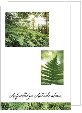 Edition Seidel Premium Trauerkarte mit Umschlag. Beileidskarte Trauer Karte Aufrichtige Anteilnahme Farn Wald Sonnenstrahlen herzliches Beileid Abschied Teilnahme Mitgefühl (T1026 SW023)