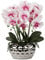 Oairse Künstliche Orchideen, 44 cm, rosa Orchideen in silbernen Keramiktöpfen, fühlt sich echt an, Seidenblume, große künstliche Phalaenopsis für Zuhause, Küche, Büro, Wohnzimmer, Tischdekoration,