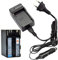 DSTE BP-970G BP-975 Ersatz Batterie + Reise Ladegerät Compatible für Canon XLH1, XHG1, XHA1, XL2, XM2, XH G1S, XH A1S, XL H1S, XL H1A, XF305, XF300, XF105, XF100
