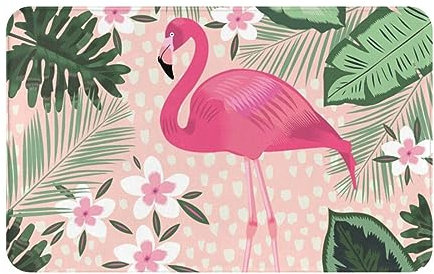 LAMAME Paillasson d'intérieur imprimé flamant rose doux intérieur extérieur lavable tapis d'entrée