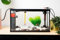 RADYS Acuario PECERA 10 litros Kit Completo