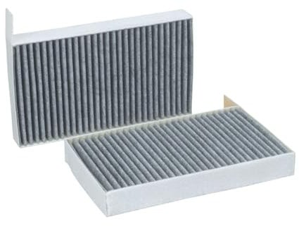 Pollenfilter AHC736-2 Aktivkohle Anti-Allergen für Kompatibel mit · TESLA MODEL 3 EV 2017, Grey