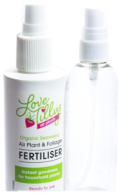 Tillandsia Air Plant Food and Spray Bottle Set - Airplant Food Care Kit - House Plant Natural Fertiliser
