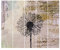 Bilderwelten Schiebegardinen Shabby Pusteblume 5 Flächenvorhänge Deckenhalterung 5X 250x60cm