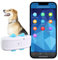 Winnes GPS Tracker für Hunde Weltweite Live-Ortung Ohne ABO für Hunde und Katzen GPS Tracker Positionsverlauf Aktivitätstracking IP66 Wasserdicht Hunde Tracker mit Kostenloser App