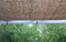 World PLANTIL Vela sombreo Fibra de Coco/Toldo Vela/Tela de sombro/Malla de sombreo/Jardin/Patio/terrasa /100% Naturales y ecológicas/ 60% de Sombra (Rectangular 2x3m SIN Anclajes)