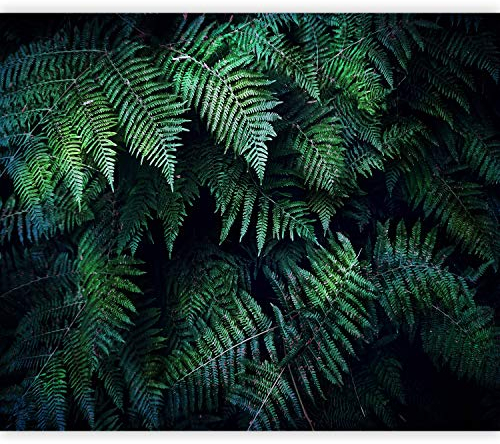 murando Fototapete selbstklebend 3D Effekt 343x256cm Foto Tapete Tapetenfolie Möbelfolie Wandverkleidung Wandtapete Motivtapeten Bildtapete Wohnzimmer 3d Effekt Modern tropische Blätter b-C-0564-a-a