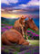 DAERLE Cheval Peinture Diamant 5D, Jolis chevaux Diamond Painting Broderie Diamant Kit Complet, Kit de Peinture Diamantée DIY Pour Enfants Adulte, Peinture Diamant Décoration Murale 30x40cm