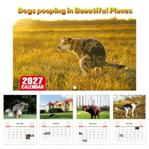 JAMSSOW 2027 Pooping Dogs Calendar,Dogs Pooping in Beautiful Places Calendar,Lustiger 2027 Hündchen Wandkalender,Lustige Humor Gag Geschenke für Geburtstage, Weihnachten (Gelb)