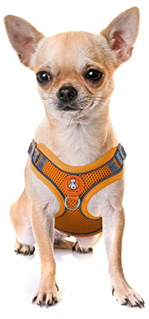 Katzengeschirr Set mit Leine ausbruchsicher - Antizug Geschirr mit Brustring Mesh Hundegeschirr Brustgeschirr für Katzen & kleine Hunde Orange XS