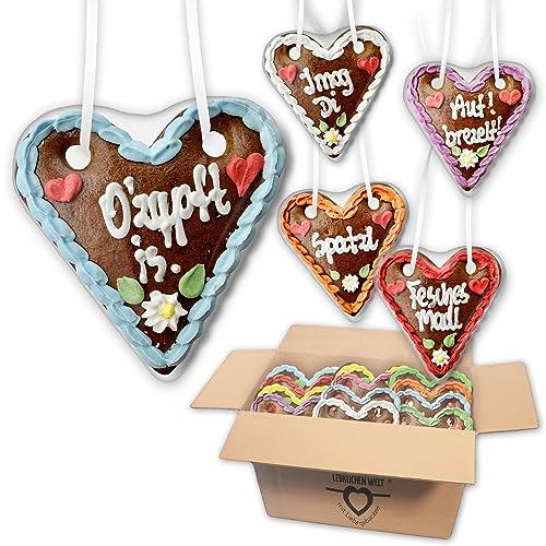 Lebkuchenherzen 10 Stück beliebte Oktoberfest Sprüche Mischkarton - 14cm - Wiesn Lebkuchenherz Bayerische Kosenamen kaufen | LEBKUCHEN WELT