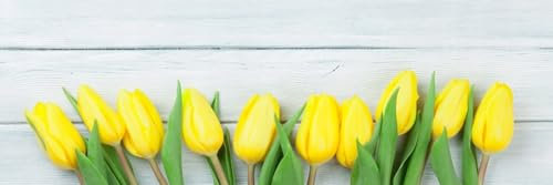 HUBDECO Selbstklebende Küchentapete Tapete - Fototapete Aufkleber mit Mattem Laminat Überzogen - auf Fliesen, Plexi, Möbeln, Schränken, Spiegeln - Gelbe Tulpen 180x60