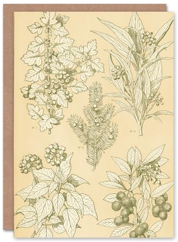 Artery8 Owen Jones Art Card Leaves From Nature No 7 Vintage Botanical