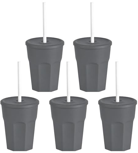 Engelland - 5 x Kunststoffbecher mit Deckel und Strohhalm, 0,25 Liter, Anthrazit, Party-Becher, Plastik Trink-Gläser, Mehrweg, BPA-Frei, Spülmaschinenfest