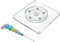 Aspiree Tiny Triangle Scriber Needle and Turntable, Swivel Stand Set for Decorating Sugar Cookies, Frosting Cupcakes and Creating Intricate Designs with Royal Icing (2 Piece Set)