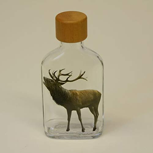 GTK - Geweihe & Trophäen KRUMHOLZ Botella pequeña de Cristal de 100 ml, petaca con diseño de Ciervo Rojo