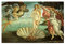 artboxONE Poster 30x20 cm Natur Die Geburt der Venus Botticelli - Bild Kunst gemälde Kunst