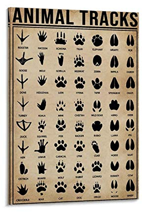 SMWY Retro Poste DYJ Outdoor Poster Jagd Poster Tierspuren Jagd Leinwand Kunst Poster und Wandkunst Bild Druck Modern Familie Schlafzimmer Dekor Poster 30 x 45 cm