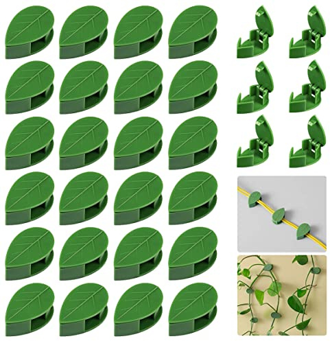 QRWT 30 Stück Pflanze Klettern Wand Befestigung Clips Selbstklebende Pflanze Fixer Unsichtbare Wand Reben Befestigungs Clips Haken Pflanze Rebe Traktion Kabel Draht Befestigung
