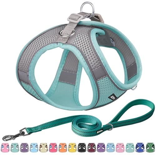 AIITLE Schritt in Hundegeschirr und Leine Set - No Pull Escape Proof Weste Geschirre mit reflektierenden Bändern, einstellbare Haustier Outdoor-Geschirre für kleine und mittlere Hunde Türkis M