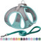 AIITLE Schritt in Hundegeschirr und Leine Set - No Pull Escape Proof Weste Geschirre mit reflektierenden Bändern, einstellbare Haustier Outdoor-Geschirre für kleine und mittlere Hunde Türkis M