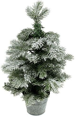 Árbol de Navidad Tamño XS - Planta Natural con Nive Artificial