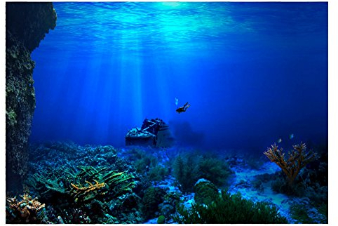 FILFEEL Aquarium-Hintergrund, Fisch-Dekorationen, Bilder, 3D-Effekt, PVC, selbstklebendes Poster, Unterwasserwelt, Hintergrund, Dekoration, Papieraufkleber, 61 x 30 cm