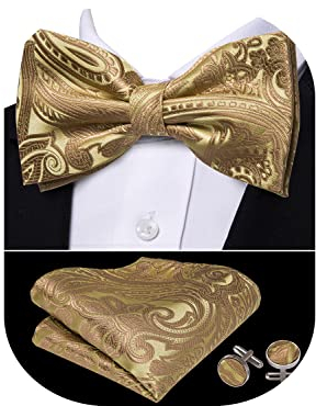 Barry.Wang Fliege Herren Set Paisley Satin Fliege Einstecktuch mit Manschettenknöpfe Set Vorgebundene Fliege,für Bräutigam Hochzeit formal Sfeier Weihnachten