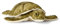 Uni-Toys - Grüne Meeresschildkröte - 34 cm (Länge) - Plüsch-Schildkröte - Plüschtier, Kuscheltier