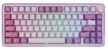 KiiBoom Breeze 75 75% CNC Aluminum and Acrylic Mechanical Gaming Keyboard, USB-C/BT5.0/2.4GHz Wireless Creamy Keyboard, with Gasket Structure, RGB, 8000mAh Battery for Win/Mac (Purple)