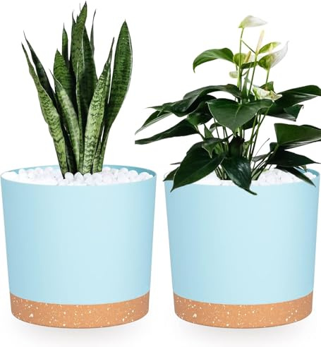 QCQHDU Lot de 2 Pot de Fleur Interieur,16.5cm Cache Pot Plante,Plastique Indoor Flower Pots avec Trous de Drainage et Base Amovible(Blanc16.5cm)