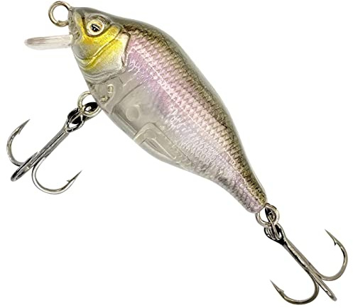 Fox Rage Funk Bug 40mm 4g SR UV - Wobbler Crankbait