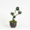Mini Bonsai Ortensia Stabilizzata Made in Italy - Pianta Decorativa da Interno - Altezza 15 cm, Fiori Veri - Ideale come Arredo e Regalo per la Casa (Verde)