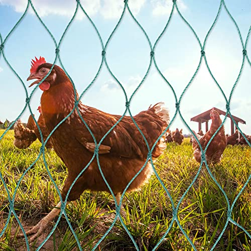 JUDANNA Geflügelnetz Hühnernetz aus 36 Fäden mit festen Knoten Masche 5 cm Geflügelzaun Hühnerzaun Mobiler Weidezaun (1.5 X 30m)