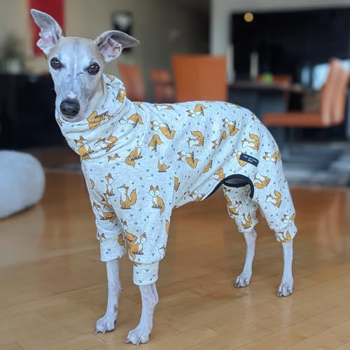 EDEL&SCHNELL Hundepullover mittelgroße Hunde aus kuscheliger Baumwolle, Windhund Pullover beige mit Fuchsmotiv, Hunde Pyjama Größe 55-60 cm