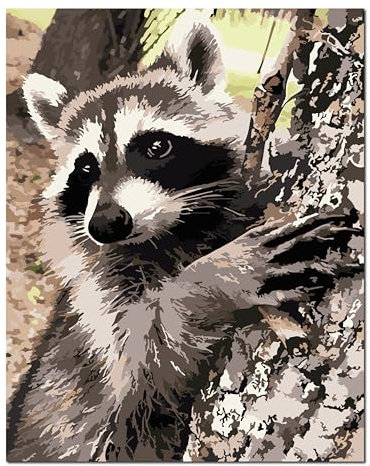 Shukqueen Paint by Numbers for Adults DIY Oil Paint by Number Adult Kit Paint by Numbers Adult Beginner Tree Climbing Raccoon 16x20/40x50cm (Self-Assembly Wooden Frame)