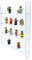 Wall Mounted Shelf Display in Clear Acrylic - Nail Polish, Model Paints, Mini Figures, Collectables 40x26.1x5cm -Shop or Home (DS67/C)
