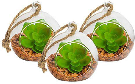 Nicola Spring Terrario de Cristal para Plantas - Ideal para Cactus - Se Puede Colgar o Poner sobre una Mesa - 80 mm - Pack de 3