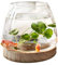 PW TOOLS Mini Aquarium, Glas Fischschale, kleine runde Klarglas vase, Desktop Aquarium mit Holzsockel, Hydrokultur Pflanzenvase, für Heimbüro Blumenarrangement Dekor